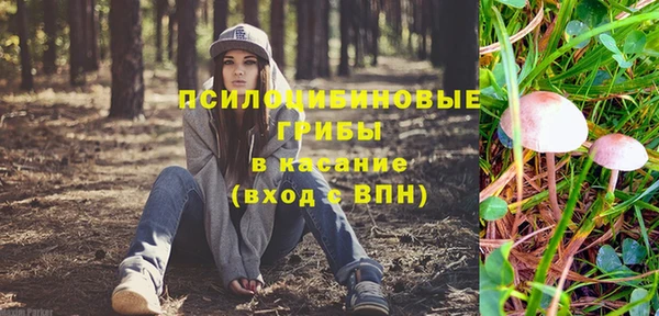 ГАЛЛЮЦИНОГЕННЫЕ ГРИБЫ Михайловка