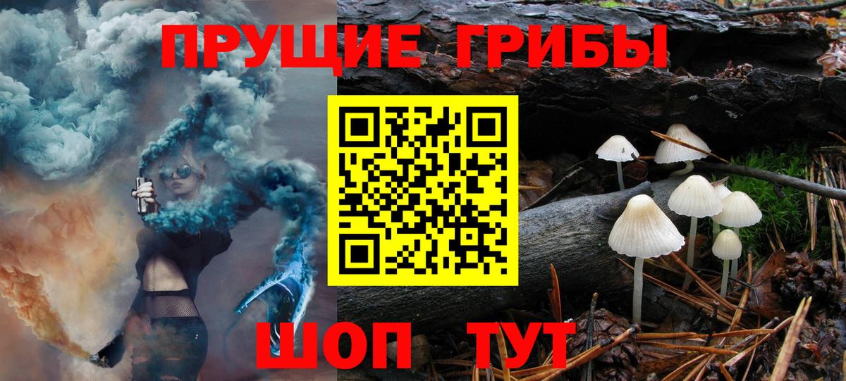 Галлюциногенные грибы GOLDEN TEACHER Сыктывкар