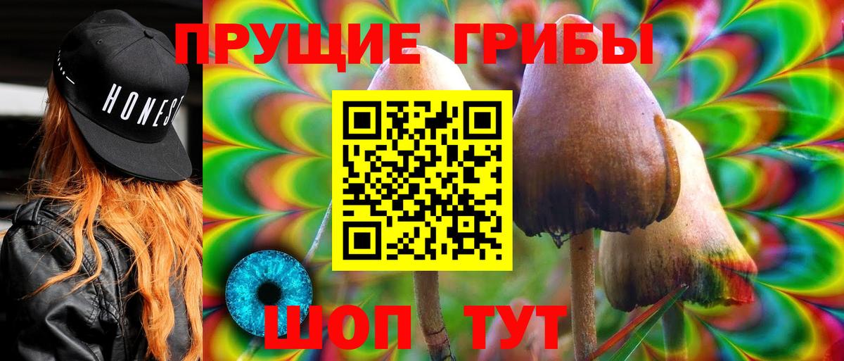 Галлюциногенные грибы Psilocybe  Вход с VPN  Псилоцибиновые грибы мицелий  Сыктывкар 