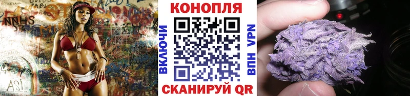 Шишки марихуана OG Kush  Сыктывкар 